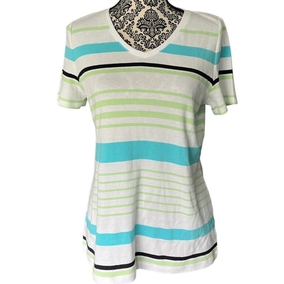 Talbots Striped V-Neck T-Shirt - Picture 1 of 5